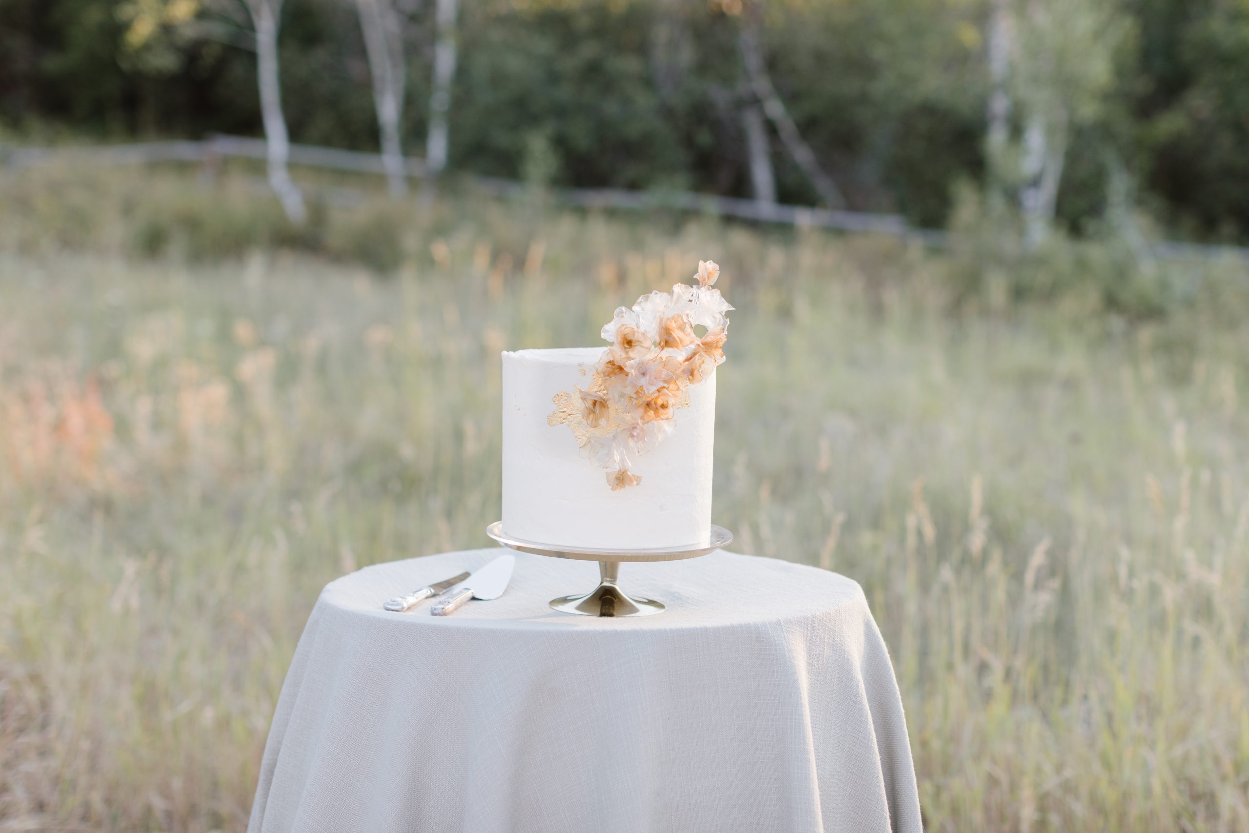 elegant wedding cake with light florals on a table in a field, roslyn smithers wedding photography, jackson hole, wy