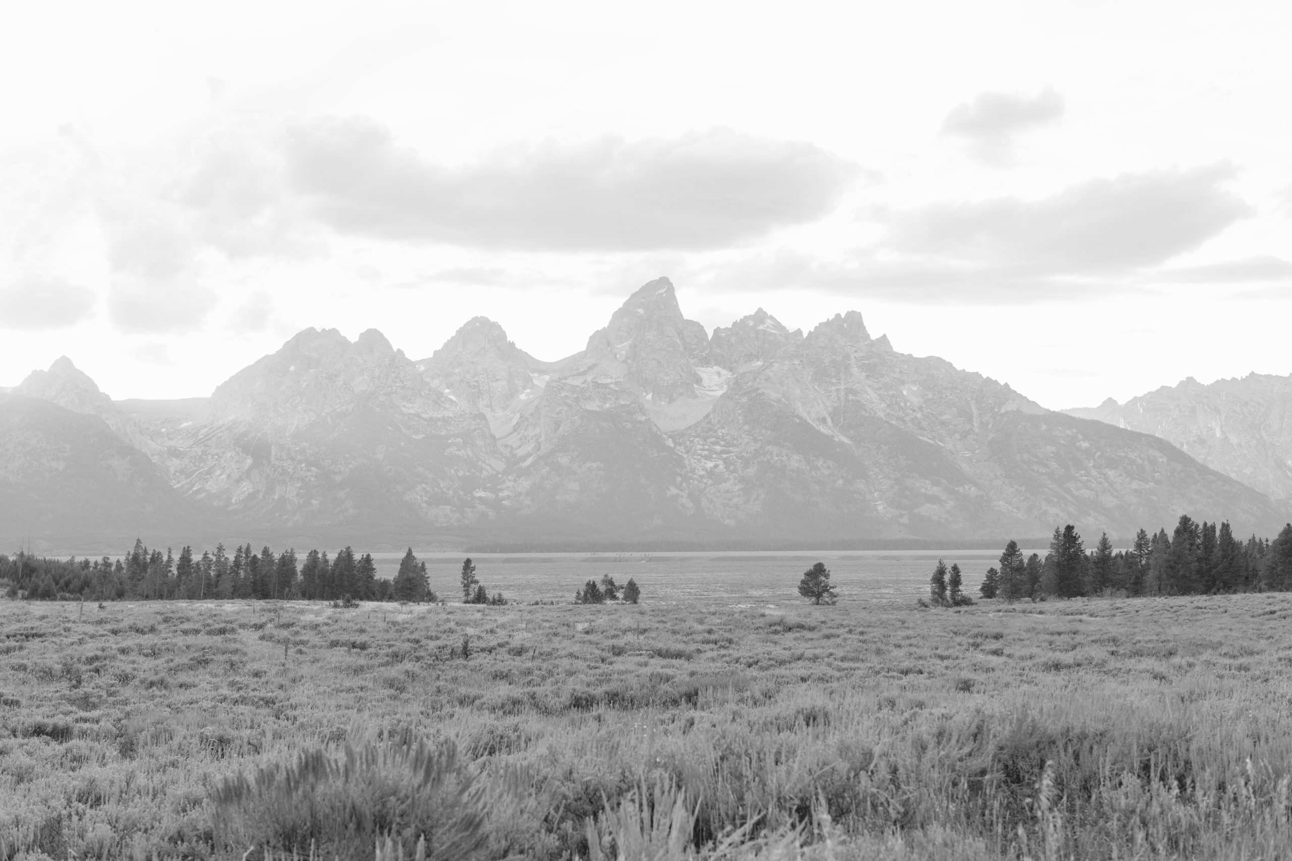 Grand Tetons with trees