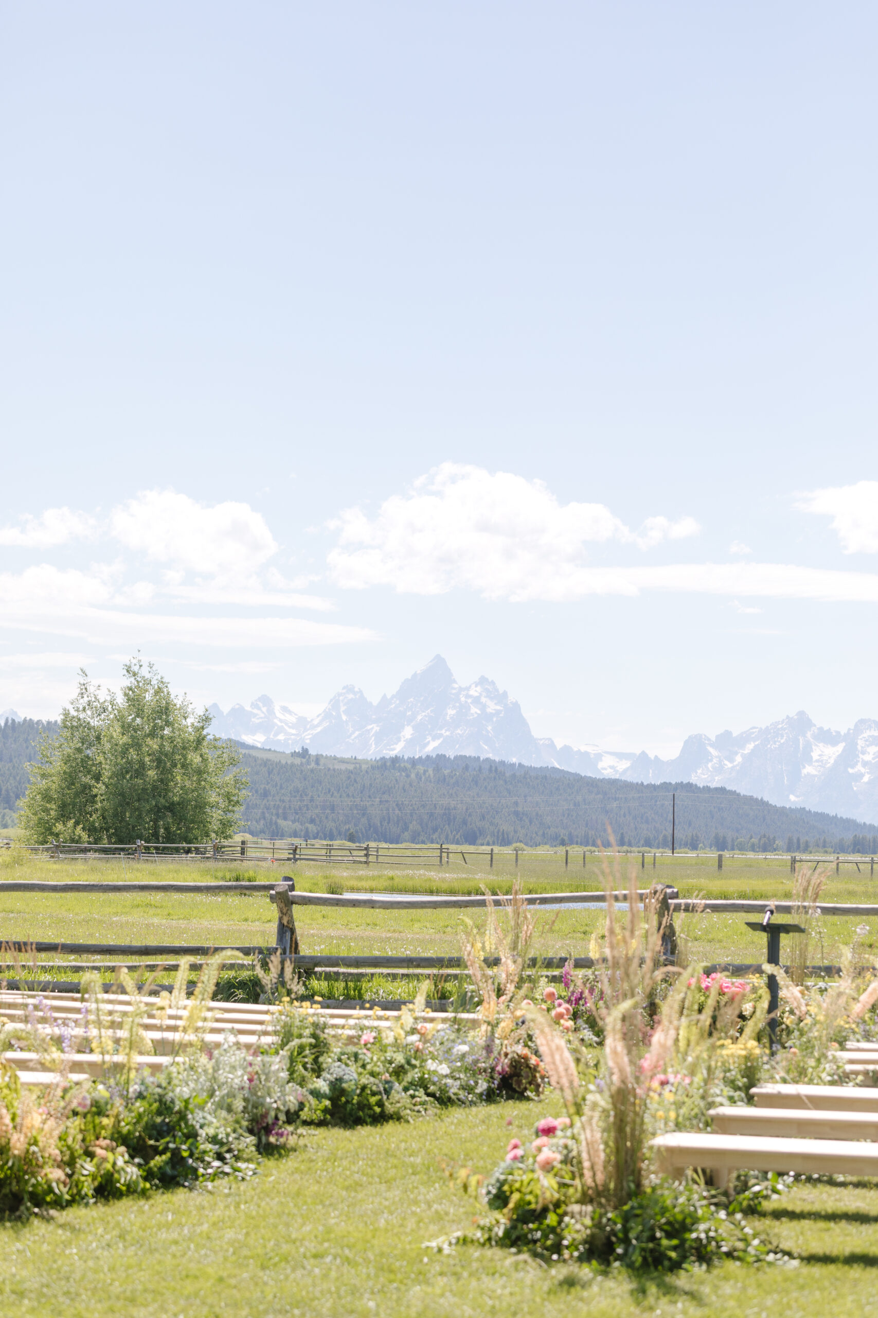 a view of the Tetons from Diamond Cross Ranch