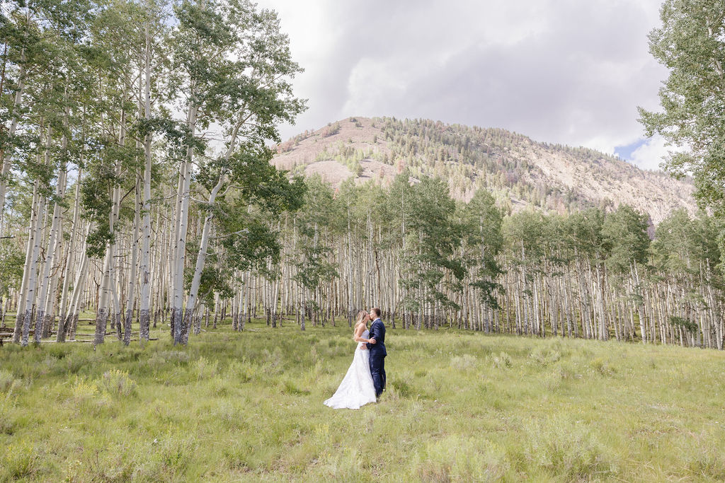 Bride and Groom kissing with a the beautiful mountain view of Jackson Hole.