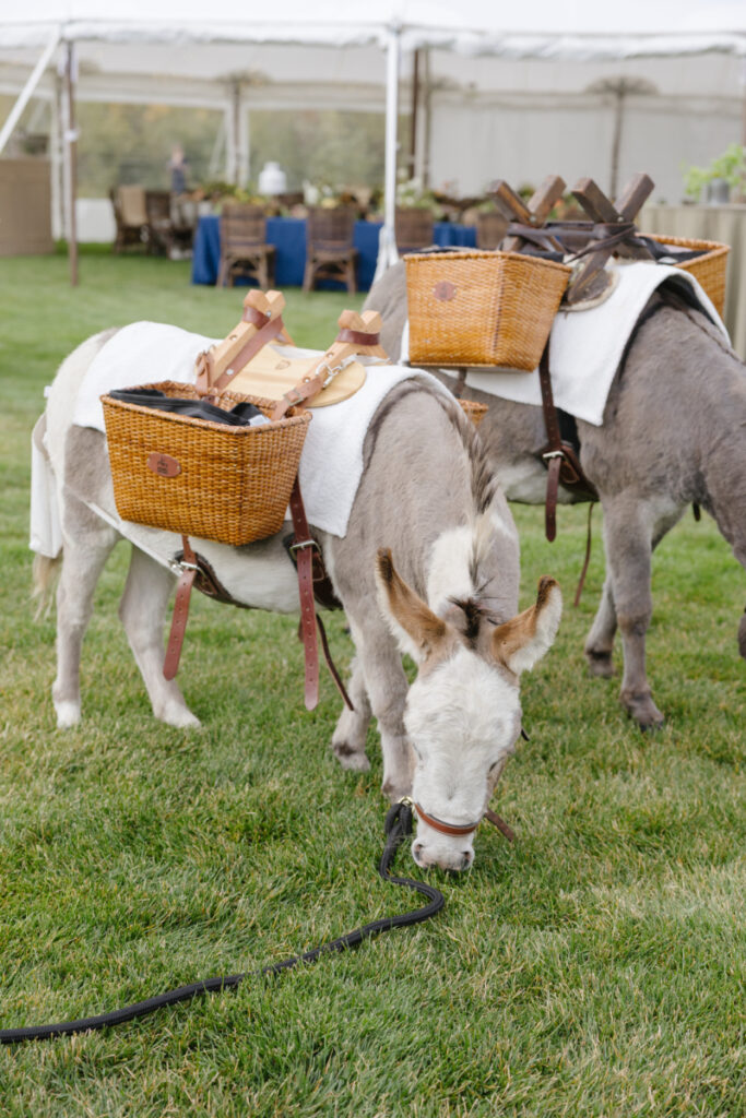 Donkeys with baskets at a Jackson Hole dude ranch wedding reception