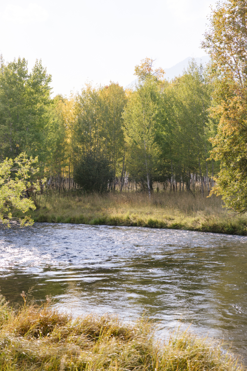 Riverfront landscape surrounded by cottonwoods and autumn colors