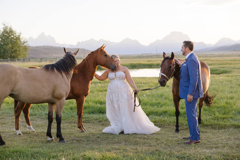 Wedding picture poses with a bride and groom beside horses in the Jackson Hole mountains
