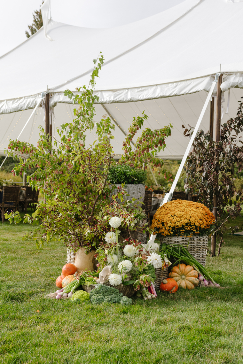 Colorful wedding reception table with woven chairs and seasonal flowers under an outdoor tent
